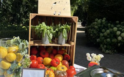 🌞 Manège Gourmand fait sa rentrée après une pause estivale bien méritée
